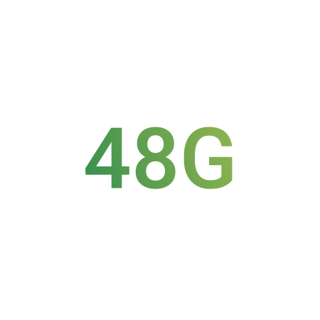 48G Bandwidth